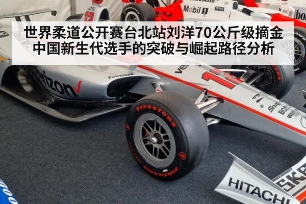 世界柔道公开赛台北站刘洋70公斤级摘金 中国新生代选手的突破与崛起路径分析